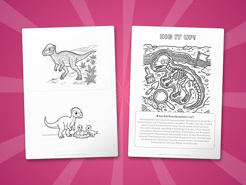 Homalocephale Dinosaurier Aktivität Bündel | Ausmalbilder, Arbeitsblätter, Fakten (PDF) Bild 7