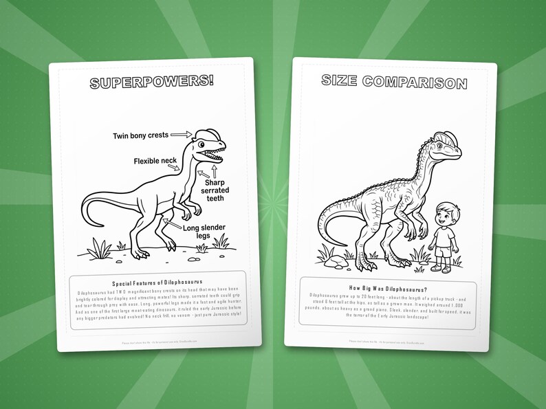 Dilophosaurus Dinosaur Activity Bundle | Coloring Pages, Worksheets, Facts (PDF) image 8