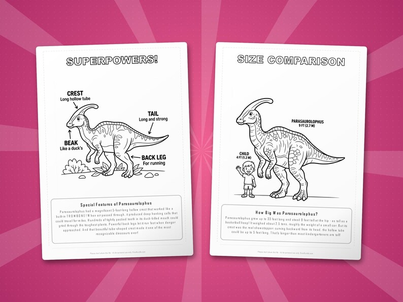 Activiteitenbundel dinosaurus Parasaurolophus | Kleurplaten, werkbladen, feiten (pdf-download) afbeelding 8