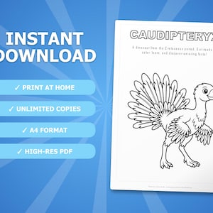 Caudipteryx-activiteitenbundel dinosaurus | Kleurplaten, werkbladen, feiten (pdf-download) afbeelding 4