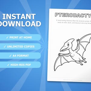 Pterodactyl Activity Bundle | Dinosaur Coloring Pages, Worksheets, Facts (PDF Download) image 4