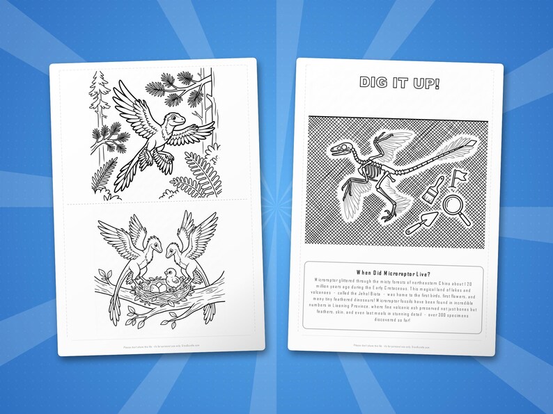 Ensemble d'activités dinosaure microraptor | Coloriages à imprimer, feuilles d'exercices et faits divers pour les enfants | Préscolaire École à la maison | PDF instantané image 7