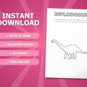 Diplodocus Dinosaur Activity Bundle | Coloring Pages, Worksheets, Facts (PDF Download) image 4