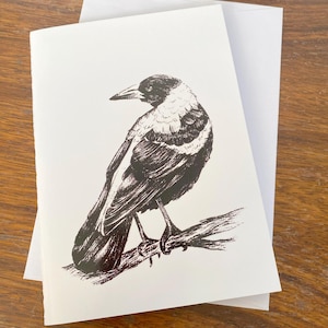Carte Pie Oiseau Australien dessiné main Carte de voeux vierge