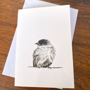 Cute Bird Card Hand Drawn Blank Greeting Card