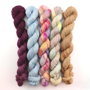 May include: Five skeins of twisted yarn arranged vertically. The colors from left to right are deep plum, light sky blue, a variegated blend of pink, orange, and purple, a soft pastel mix of green and cream, and a solid light tan or beige.