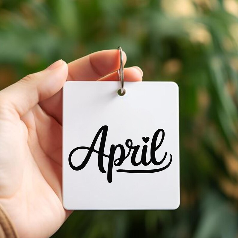 12 Months of the Year Svg Bundle, Cricut Files, Png, Digital Download ...