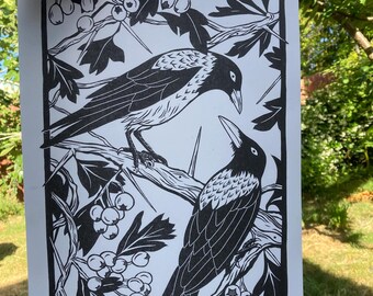 Hooded Crows on Hawthorn