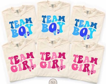 Baby Shower Party Shirt, Team Boy Team Girl Gender Reveal Top, Pregnancy Reveal Tees, Team Pink Team Blue, Family Reveal Matching Apparel