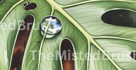 Digitaldruck - Monstera & Wassertropfen - Etsy.de