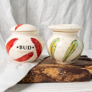 Custom Mini Keepsake Urn: Parrot Memorial Urn, Small Bird Cremation Urn for Ashes,  Hand-Painted Feather Keepsake, Bird Loss Gift - 5 Cu In