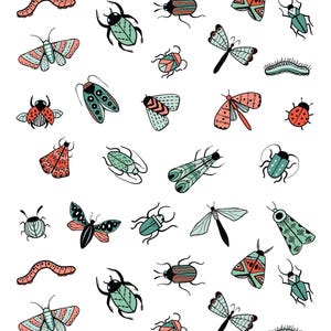 May include: A white background is covered with a pattern of various insects. The insects include butterflies, beetles, dragonflies, and ladybugs, in shades of teal, coral, black, and pink. The illustrations are hand-drawn with a whimsical style.
