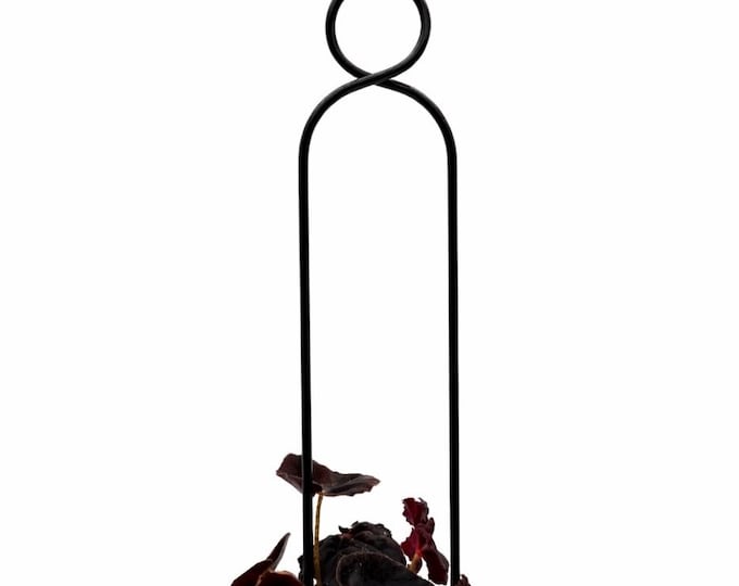 Rankhilfe “Pompom” von Botanopia | Gold oder Schwarz aus recyceltem Aluminium