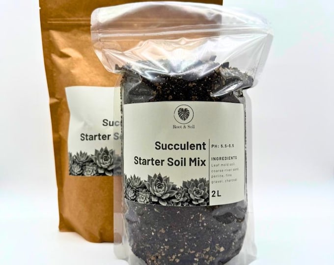 Sukkulenten Starter Boden Mischung Handgefertigtes luftiges Untergrund | Blumenerde für Sukkulenten