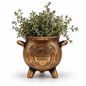 Peut inclure: Un pot de fleurs en forme de chaudron couleur bronze avec trois pieds et deux anses latérales. L'avant présente un motif circulaire en relief avec le texte HERBAL MAGIC, entouré de feuilles et de lunes. Une plante de thym pousse au sommet.