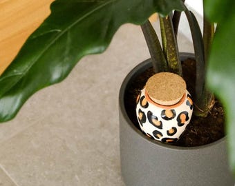 Olla Leopard von Pepín – Pflanzgefäß zur natürlichen Bewässerung
