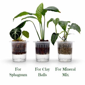 Antiektopfür Orchideen | Hydrocultuur Starter Topf 9 cm | Semi-hydroset