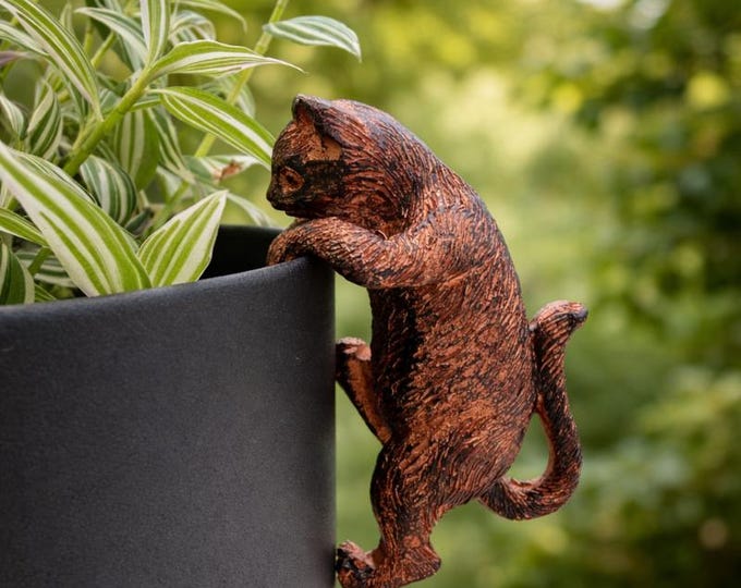 Katzen-Blumentopf-Hänger | Tierische Topfdekoration | Pflanztopf-Charme | Katzen-Topfrand-Dekoration