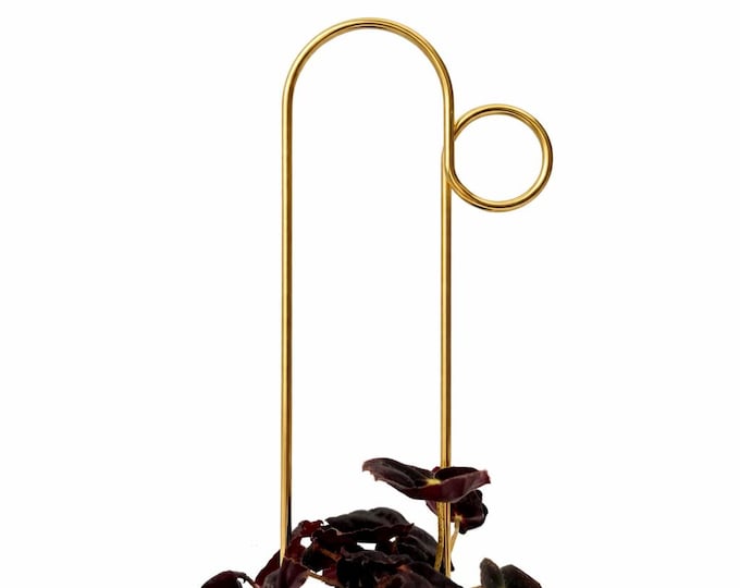 Rankhilfe “Loop” von Botanopia | Aus recyceltem Aluminium | Kletterpflanzenhilfe