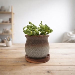 Keramik-Pflanzentopf mit Drainageloch & Akazienholz-Untersetzer | robuster Blumentopf vintage rustikal | für Kakteen und Sukkulenten image 13