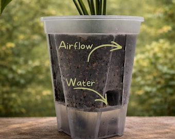 Selbstwässernde Aroid-Töpfe aus semi-transparentem Kunststoff