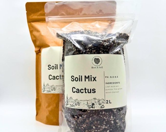 Cactus Soil Mix | Cacti Substrate Peat free Succulent plant substrate