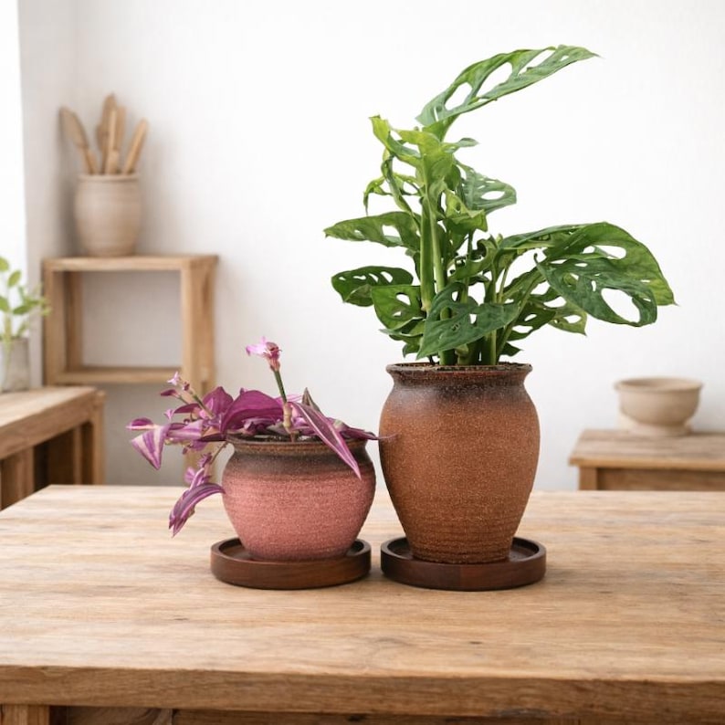Keramik-Pflanzentopf mit Drainageloch & Akazienholz-Untersetzer | robuster Blumentopf vintage rustikal | für Kakteen und Sukkulenten image 12