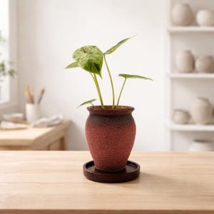 Keramik-Pflanzentopf mit Drainageloch & Akazienholz-Untersetzer | robuster Blumentopf vintage rustikal | für Kakteen und Sukkulenten image 11