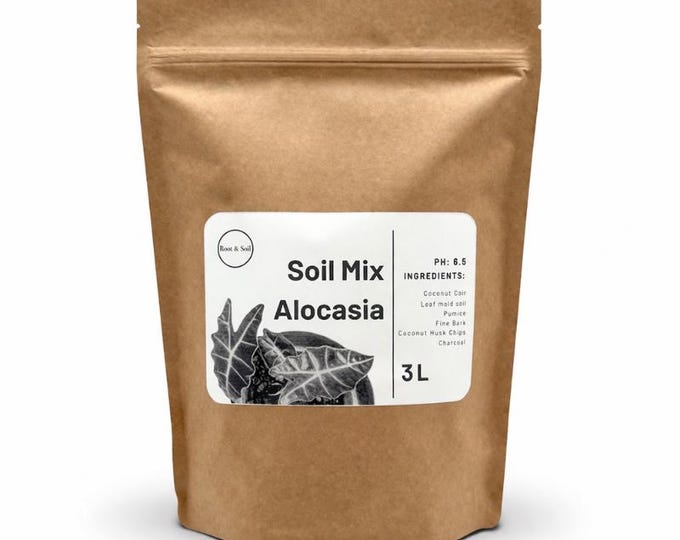 Sehr schöne Erdemischung für Alocasia & Aroiden | Pest-Free | Handgefertigte Indoor-Pflanzenerde