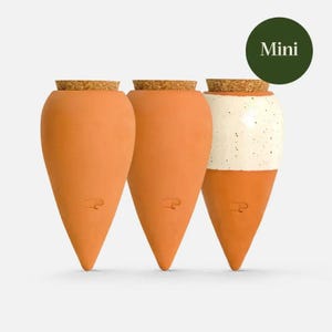 Op de afbeelding: Drie terracotta-kleurige mini-plantenbakken met kurken stoppen. Eén plantenbak heeft een wit gespikkeld bovenstuk. Elke plantenbak heeft een klein, gestileerd ontwerp aan de onderkant. Een groene cirkel met het woord "Mini" staat rechtsboven.
