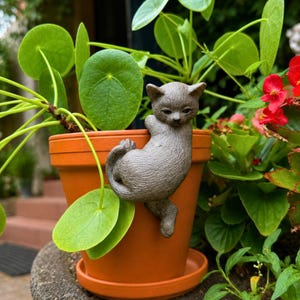 Könnte beinhalten: Eine graue, texturierte Katzenfigur, die so gestaltet ist, dass sie am Rand eines terrakottafarbenen Blumentopfs hängt. Die Katze hat eine skulptierte, fellartige Optik, wobei die Vorderpfoten über dem Rand hängen und der Körper vertikal anliegt.