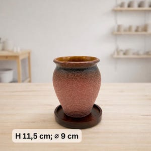 Keramik-Pflanzentopf mit Drainageloch & Akazienholz-Untersetzer | robuster Blumentopf vintage rustikal | für Kakteen und Sukkulenten 5 (H:11.5;D:9cm)