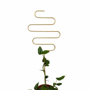 Rankhilfe « Squiggle » de Botanopia | Or recyclé Aluminium | 70 cm