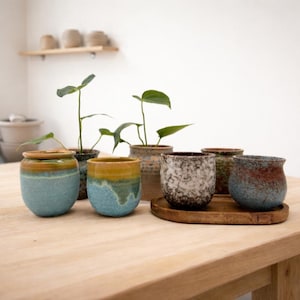 Può includere: Una collezione di vasi in ceramica di varie dimensioni e colori, alcuni con piante. I vasi sono in tonalità di blu, marrone e bianco, con un aspetto rustico e fatto a mano. Sono su un tavolo di legno chiaro, creando un'estetica naturale.