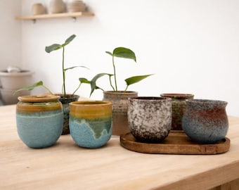 Op de afbeelding: Een verzameling keramische potten in verschillende maten en kleuren, sommige met planten. De potten zijn in tinten blauw, bruin en wit, met een rustieke, handgemaakte uitstraling. Ze staan op een lichtgekleurde houten tafel, wat een natuurlijke esthetiek creëert.