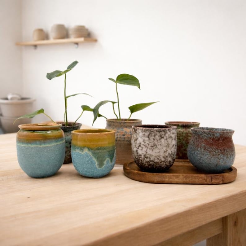 Puede incluir: Una colecci&oacute;n de macetas de cer&aacute;mica de varios tama&ntilde;os y colores, algunas con plantas. Las macetas son de tonos azules, marrones y blancos, con un aspecto r&uacute;stico y hecho a mano. Est&aacute;n sobre una mesa de madera clara, creando una est&eacute;tica natural.