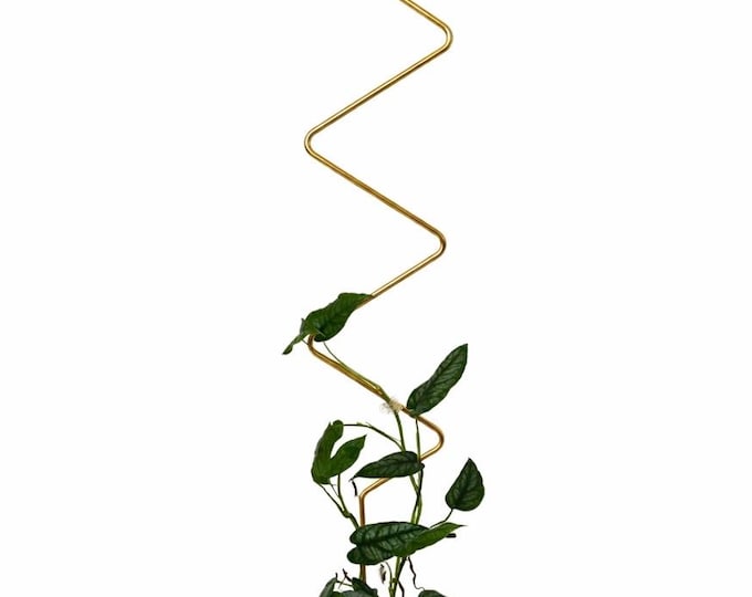 Rankhilfe “ZigZag” von Botanopia | Gold aus recyceltem Aluminium | 70 cm