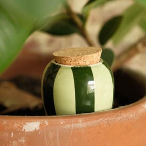 Puede incluir: Un pequeño tarro de cerámica redondo con tapa de corcho. El tarro tiene un patrón de rayas verdes y verde claro. El tarro está colocado en una maceta de terracota, con hojas verdes en el fondo.