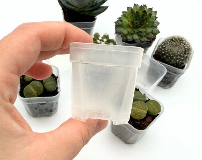Mini-Blumentopf halbtransparent mit Drainage – 4,2 × 4 cm