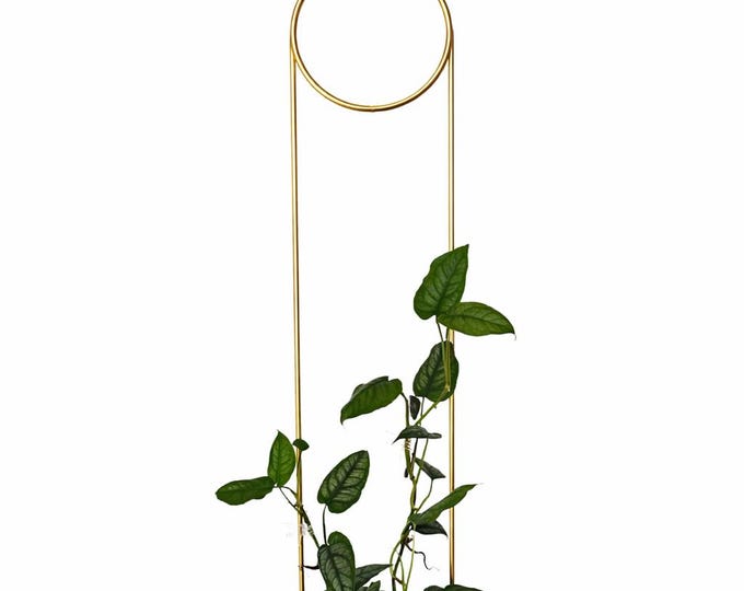 Rankhilfe “Pin” von Botanopia | Gold aus recyceltem Aluminium | 70 cm