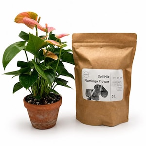 Op de afbeelding: Een Flamingo Flower plant in een terracotta pot met groene bladeren en roze schutbladeren naast een bruine papieren zak met het label Soil Mix Flamingo Flower, 3L inhoud, pH 5.5-6.5, met ingrediënten zoals bladgrond, dennenbast en houtskool.