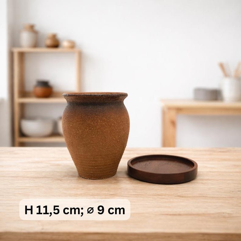 Keramik-Pflanzentopf mit Drainageloch & Akazienholz-Untersetzer | robuster Blumentopf vintage rustikal | für Kakteen und Sukkulenten 1 (H:11.5cm;D:9cm)