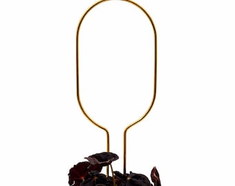 Rankhilfe “Hoop” von Botanopia | Gold und/oder Schwarz aus recyceltem Aluminium
