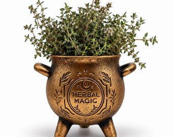 May include: A bronze-colored cauldron planter with three legs and two side handles, featuring the embossed text "HERBAL MAGIC" surrounded by moon and leaf motifs. A green thyme plant with small light-colored flowers grows out of the top.