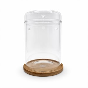 Kleines Gewächshaus 17 cm im Glas mit Bambus-Untersetzer | Modernes Terrarium mit 3 Lüftungslöchern