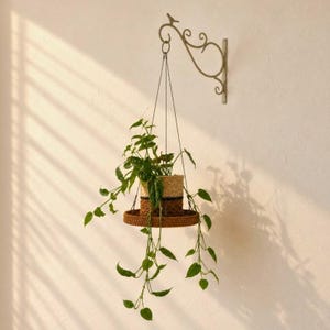 Pflanzenhänger aus Rattan & Edelstahl | Minimalistische Hängeschale im Industrie-Look