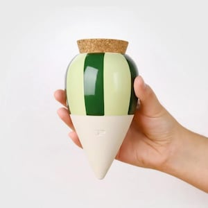 Può includere: Un barattolo decorativo con un design a forma di anguria. Il barattolo ha un motivo a strisce verdi e verde chiaro sulla parte superiore, una base a forma di cono bianco e un tappo di sughero. Il barattolo è tenuto in mano.