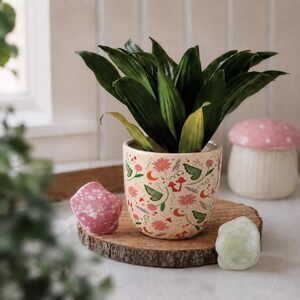 Könnte beinhalten: Ein cremefarbener Keramikübertopf mit einem bunten Muster aus rosa Blumen, roten Pilzen, grünen Blättern und orangefarbenen Mondsicheln. Der Übertopf enthält eine grüne Pflanze und wird von einem rosa und einem hellgrünen Stein begleitet.