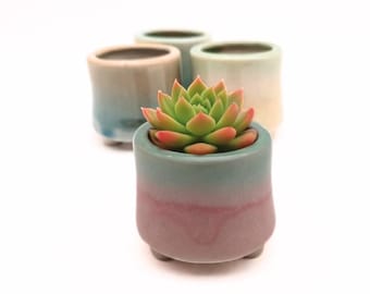 Mini Ceramic Planter: Baby Cactus, Lithops, Succulent Pot