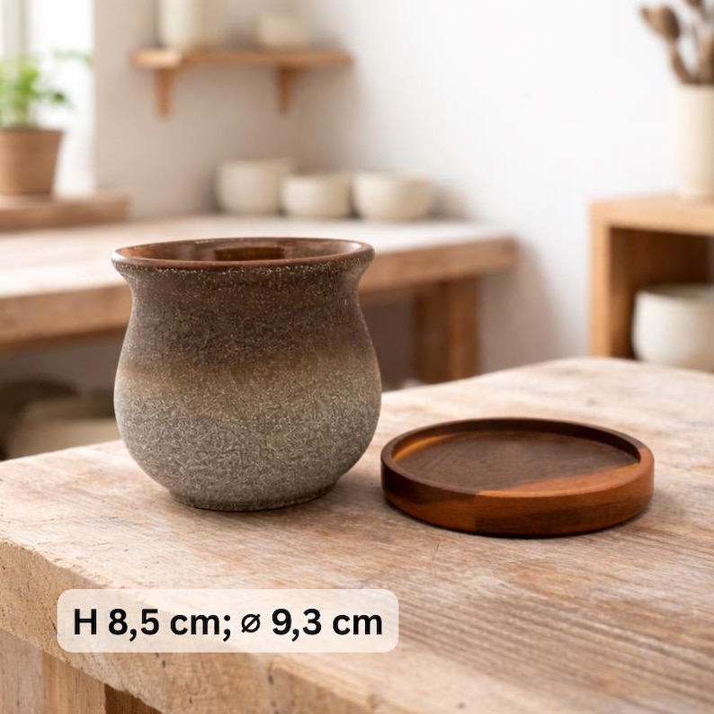 Keramik-Pflanzentopf mit Drainageloch & Akazienholz-Untersetzer | robuster Blumentopf vintage rustikal | für Kakteen und Sukkulenten 3 (H:8.5cm;D:9.3cm)